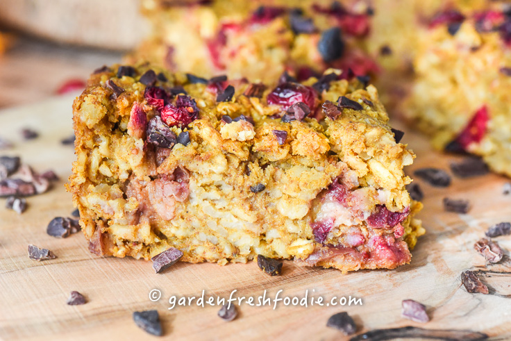 Upclose Pumpkin Oatmeal Cranberry Breakfast Bars With Cacao