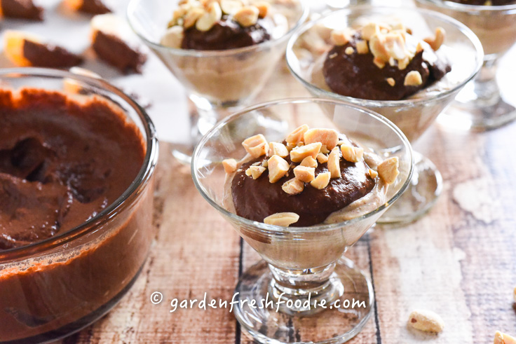 Chocolate Peanut Butter Dip on top of Peanut Butter Pudding