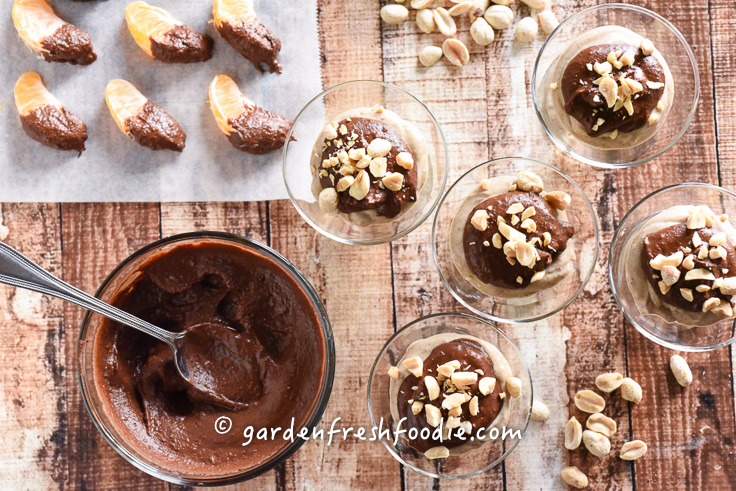 Peanut Butter Pudding with Chocolate Dipped Oranges