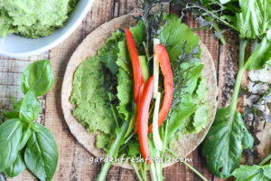 Garlic Scape White Bean Dip Wrap