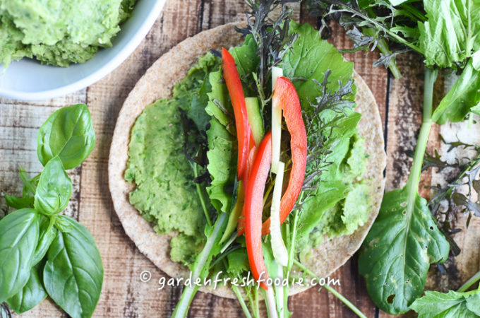 Garlic Scape White Bean Dip Wrap