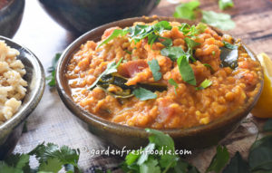 Bowl of Red Lentil Daal
