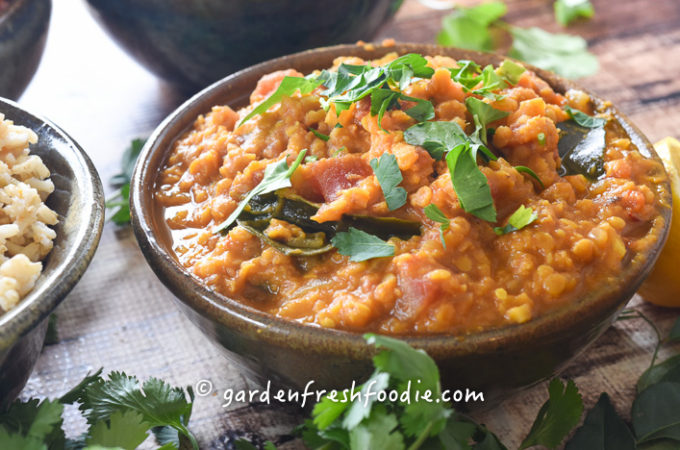 Bowl of Red Lentil Daal