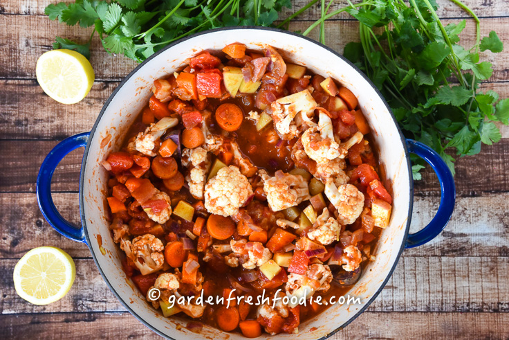 Cooking Winter Vegetable Vindaloo