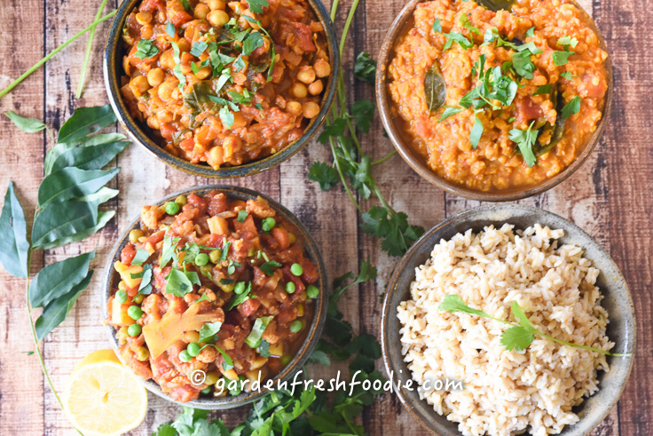 Vegan Indian Feast