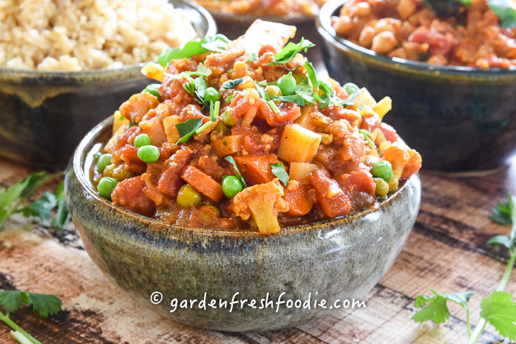 Winter Vegetable Vindaloo
