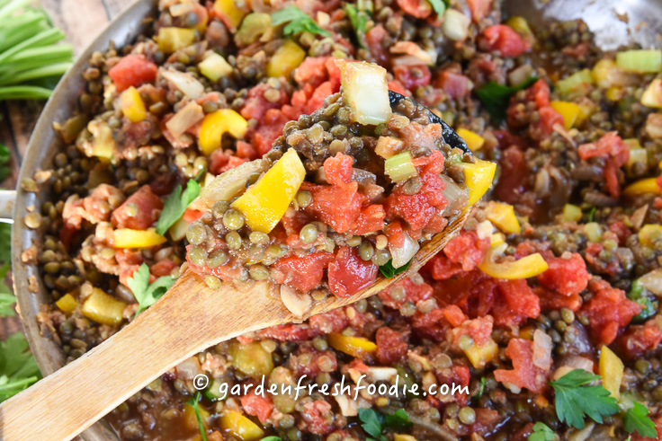 Lentil Sloppy Joe Filling