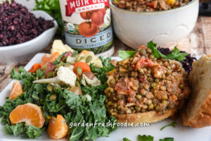 Plated Lentil Sloppy Joe's