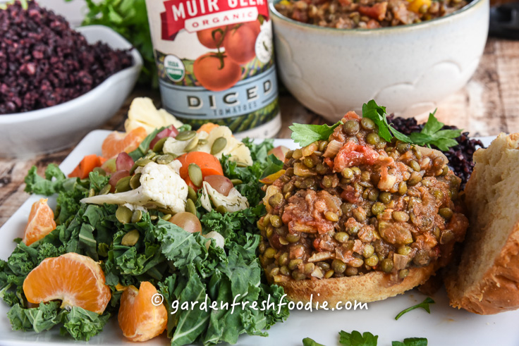 Plated Lentil Sloppy Joe's
