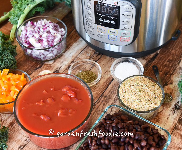 Beans and Rice InstantPot
