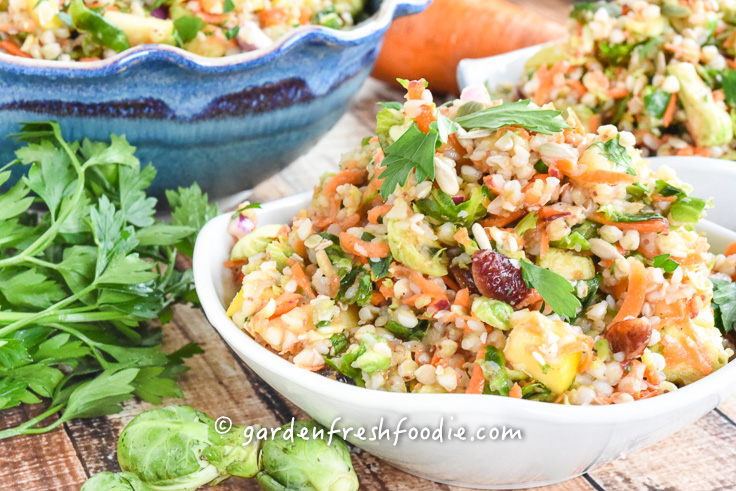 Harvest Buckwheat Salad With Apple Cider Dressing | Garden Fresh Foodie
